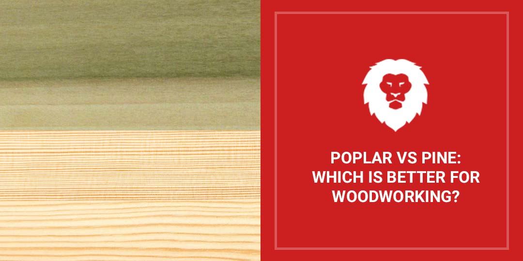 Poplar vs. Pine Which Is Better For Woodworking? Red Label Abrasives